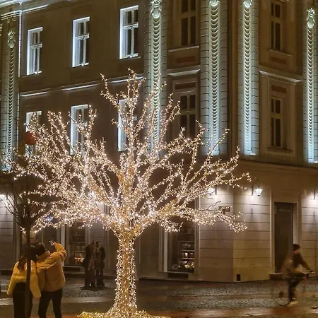 Luxury דירה טימישוארה