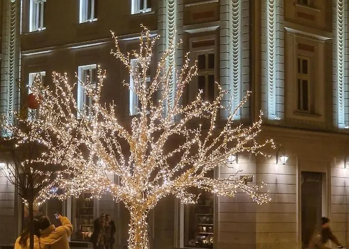 Luxury Appartement Timişoara